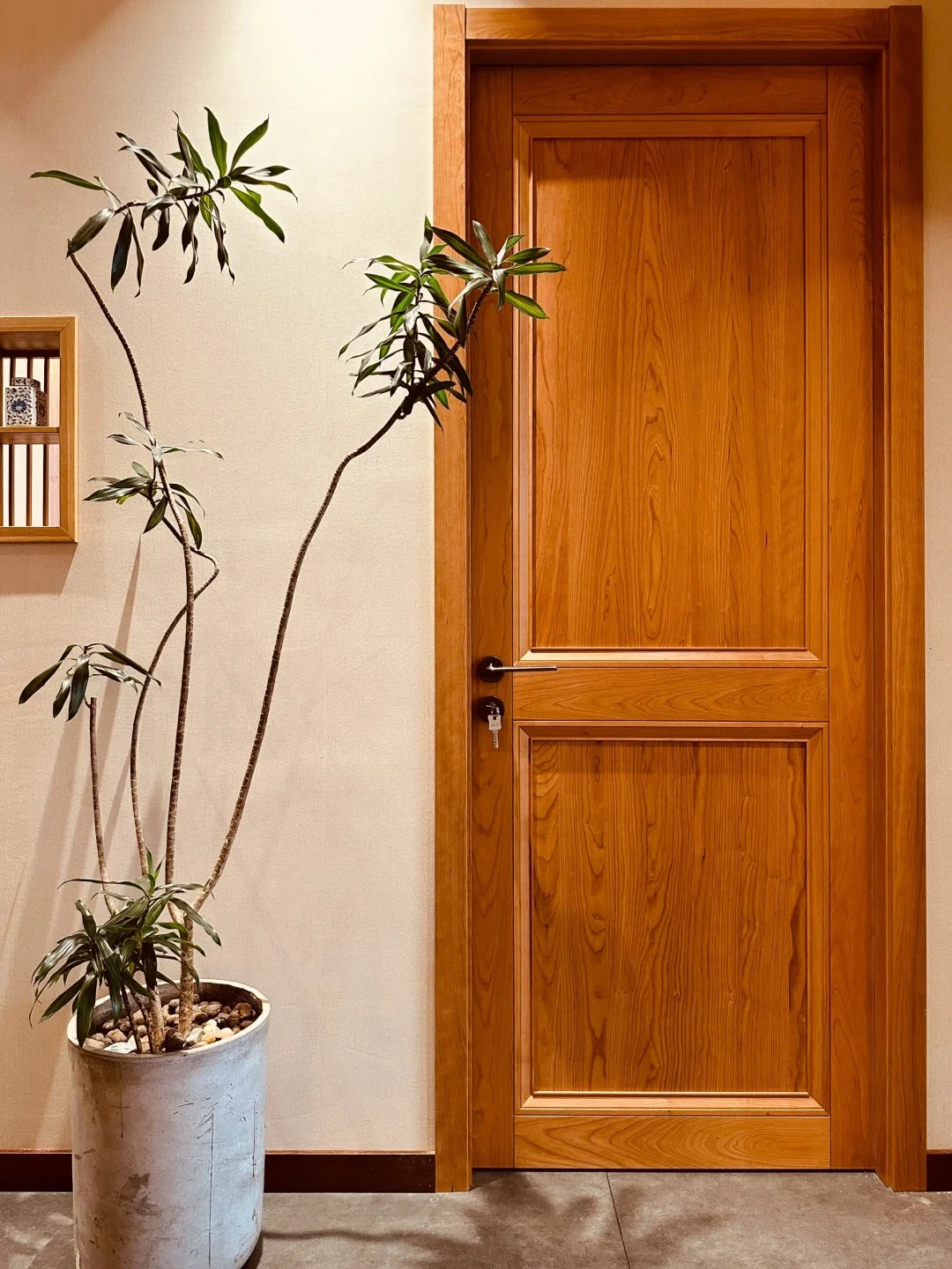 Solid wood doors