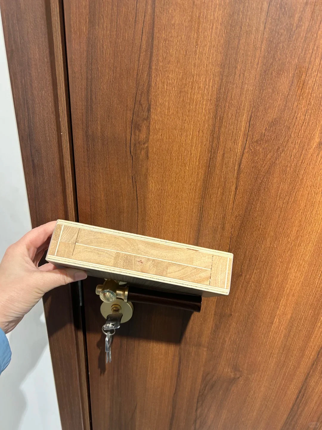 Engineered wood doors