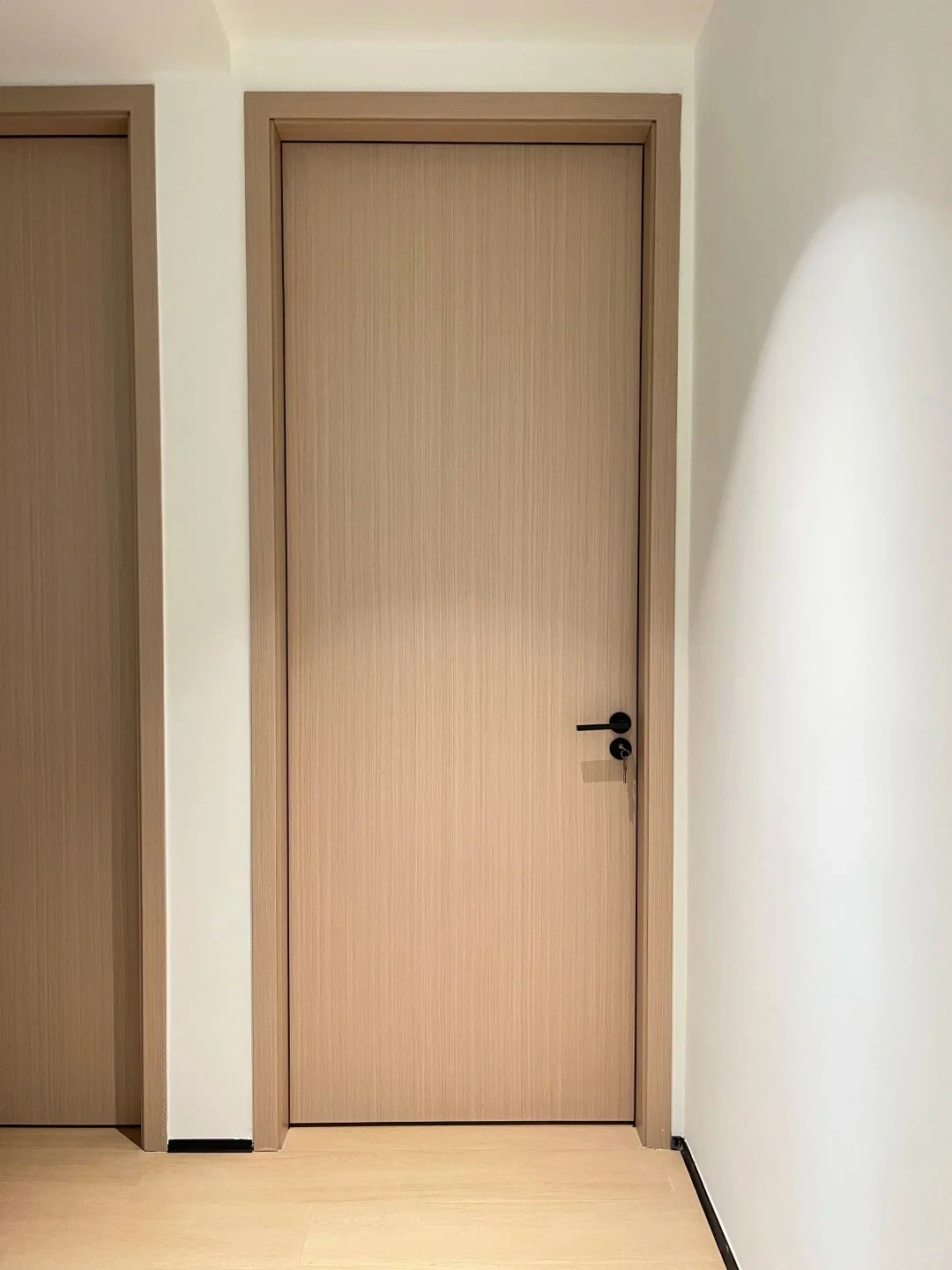 Flat panel doors